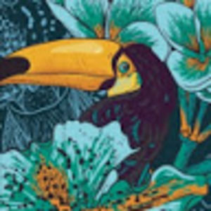 Meet your Posher, Sierra